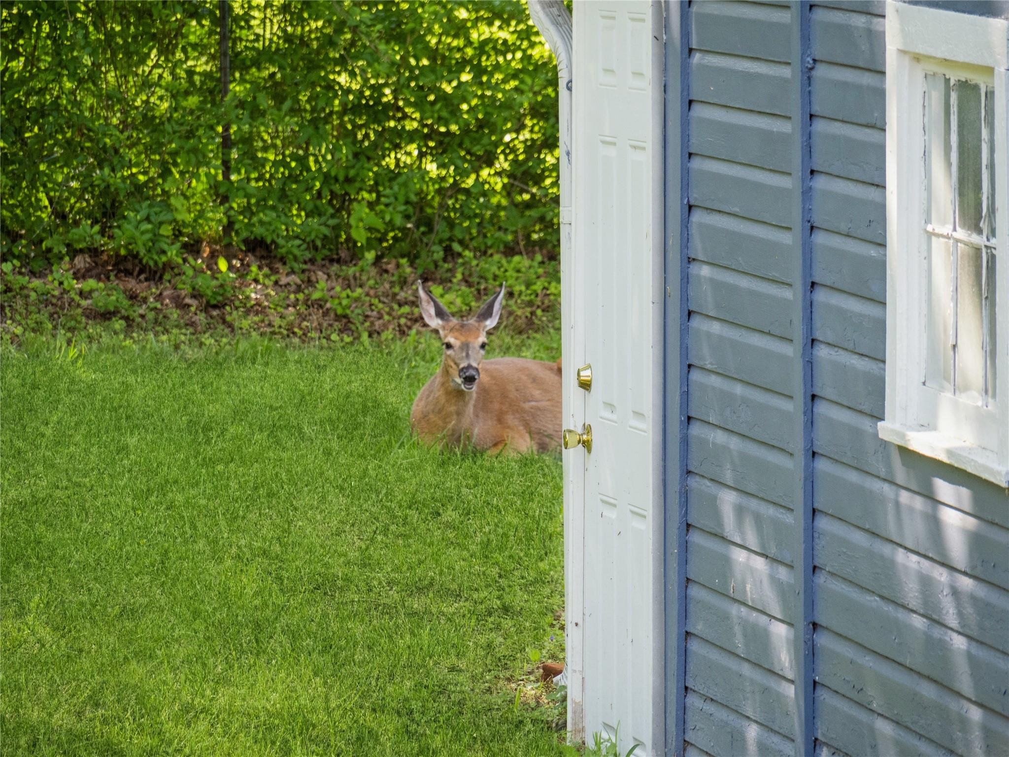 34 Woodland Avenue, Poughkeepsie, NY 12603