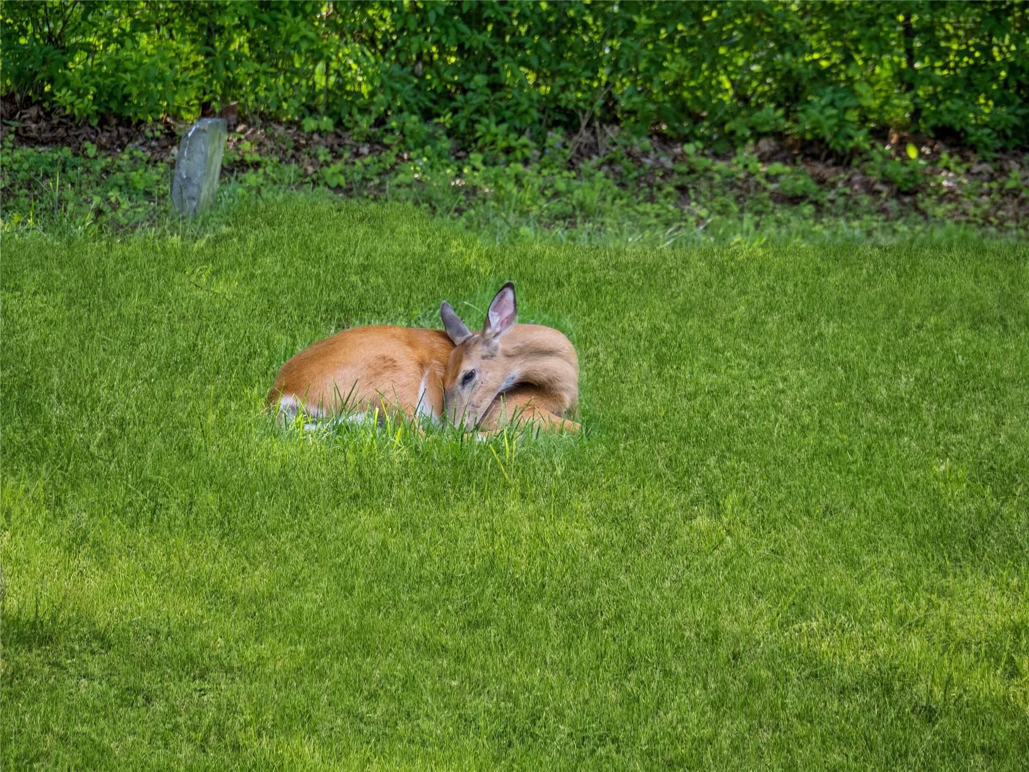 34 Woodland Avenue, Poughkeepsie, NY 12603