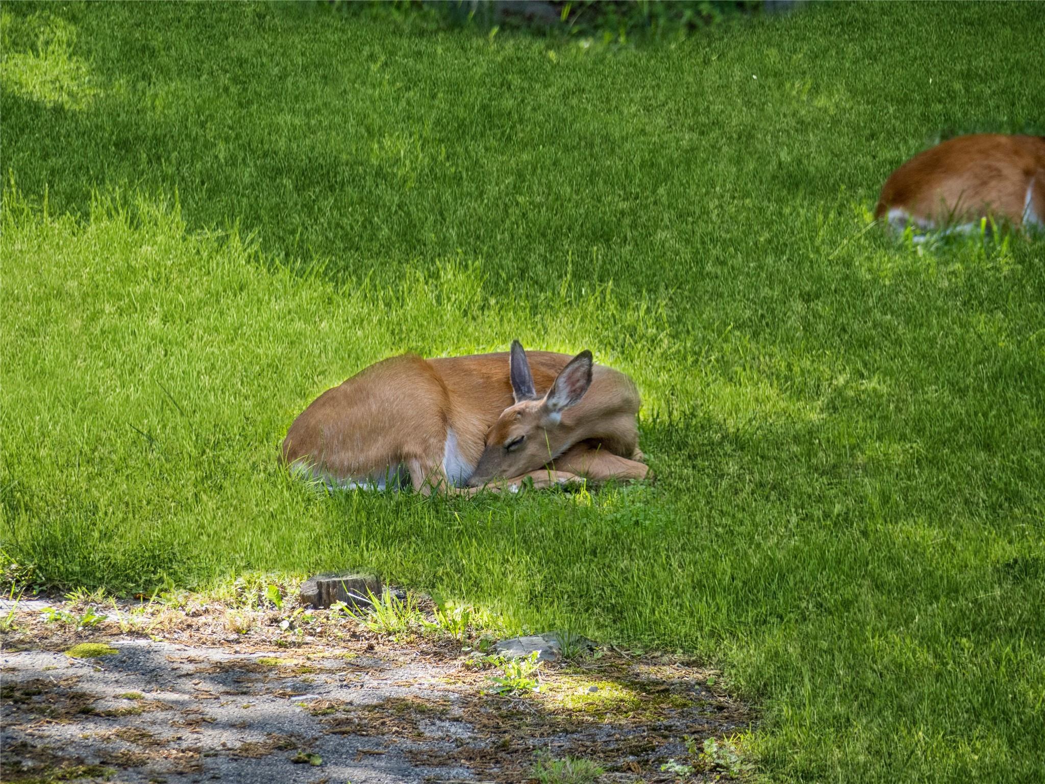 34 Woodland Avenue, Poughkeepsie, NY 12603