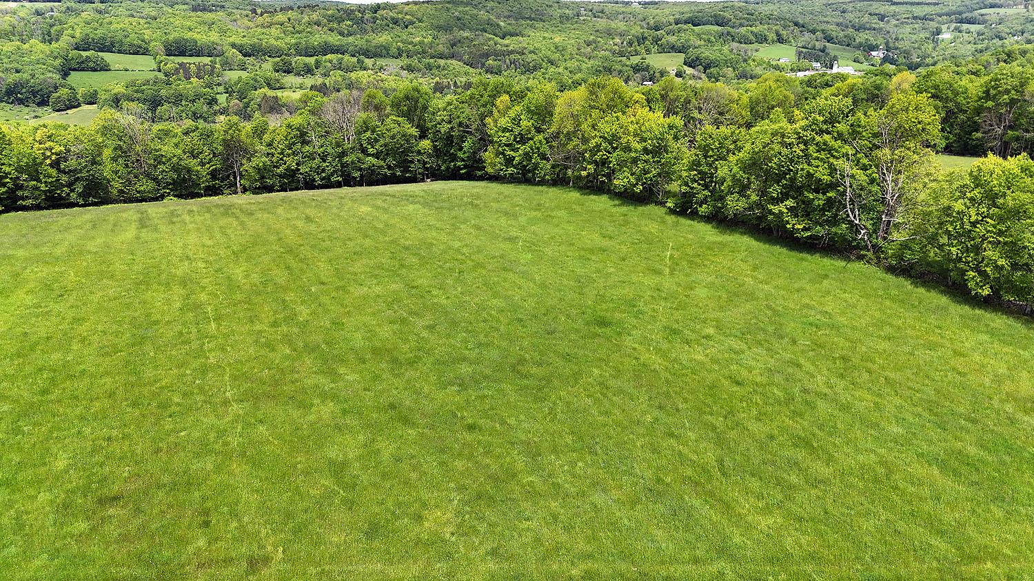 Menges Road, Youngsville, NY 12791