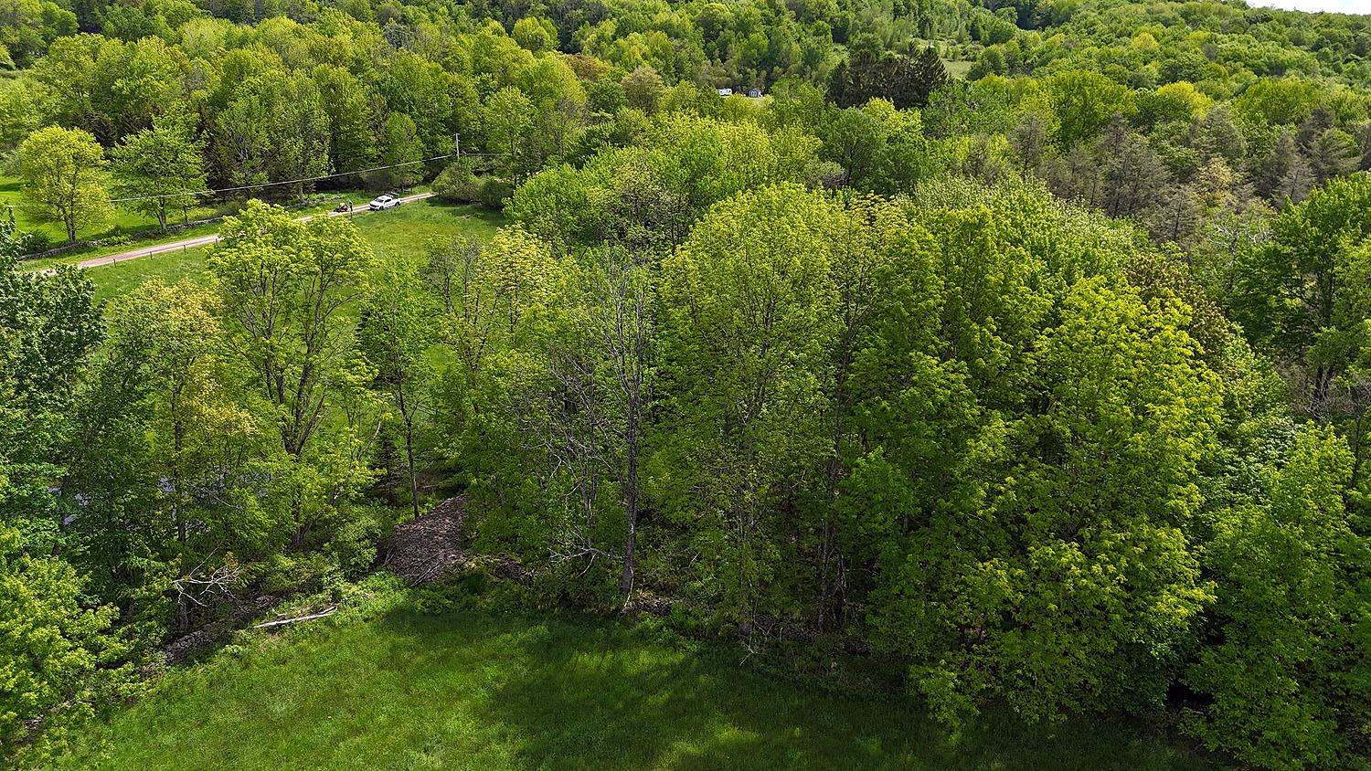 Menges Road, Youngsville, NY 12791