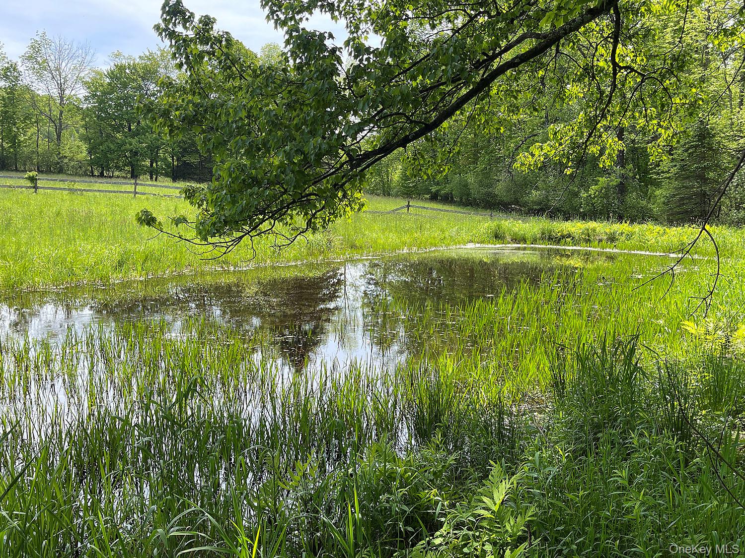 Menges Road, Youngsville, NY 12791