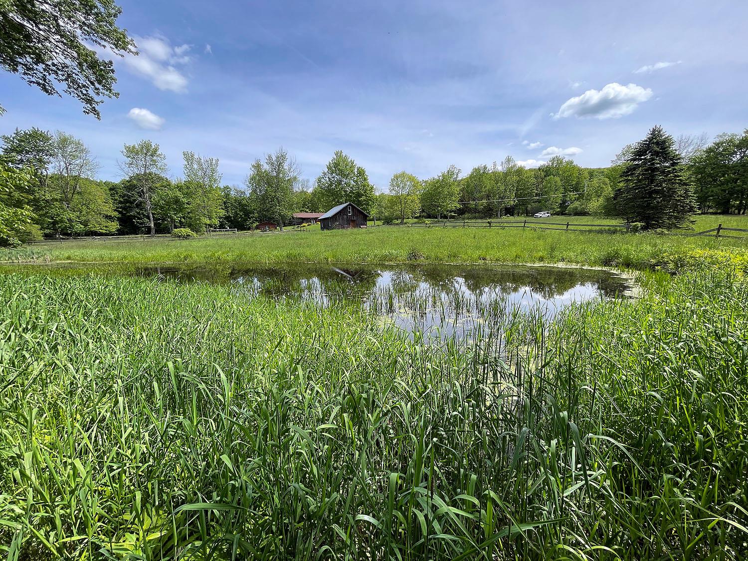 Menges Road, Youngsville, NY 12791