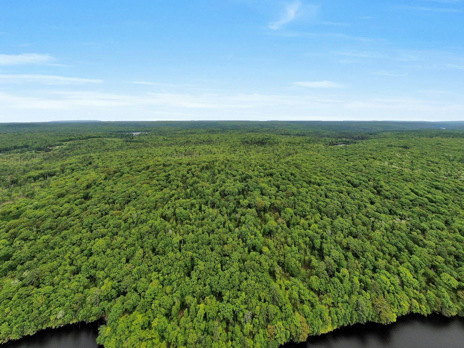 TBD Plank Rd, Forestburgh, NY