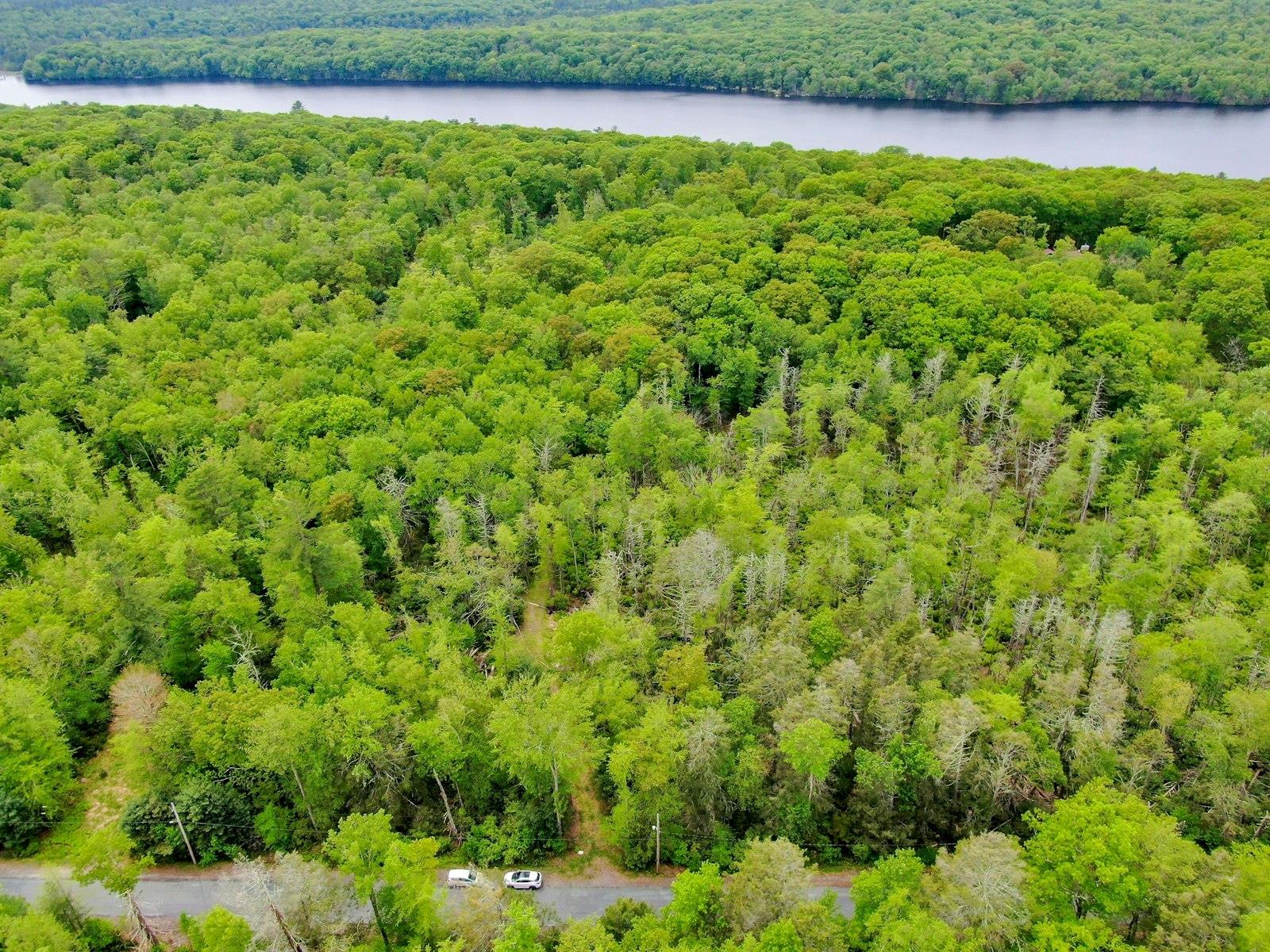 TBD Plank Rd, Forestburgh, NY