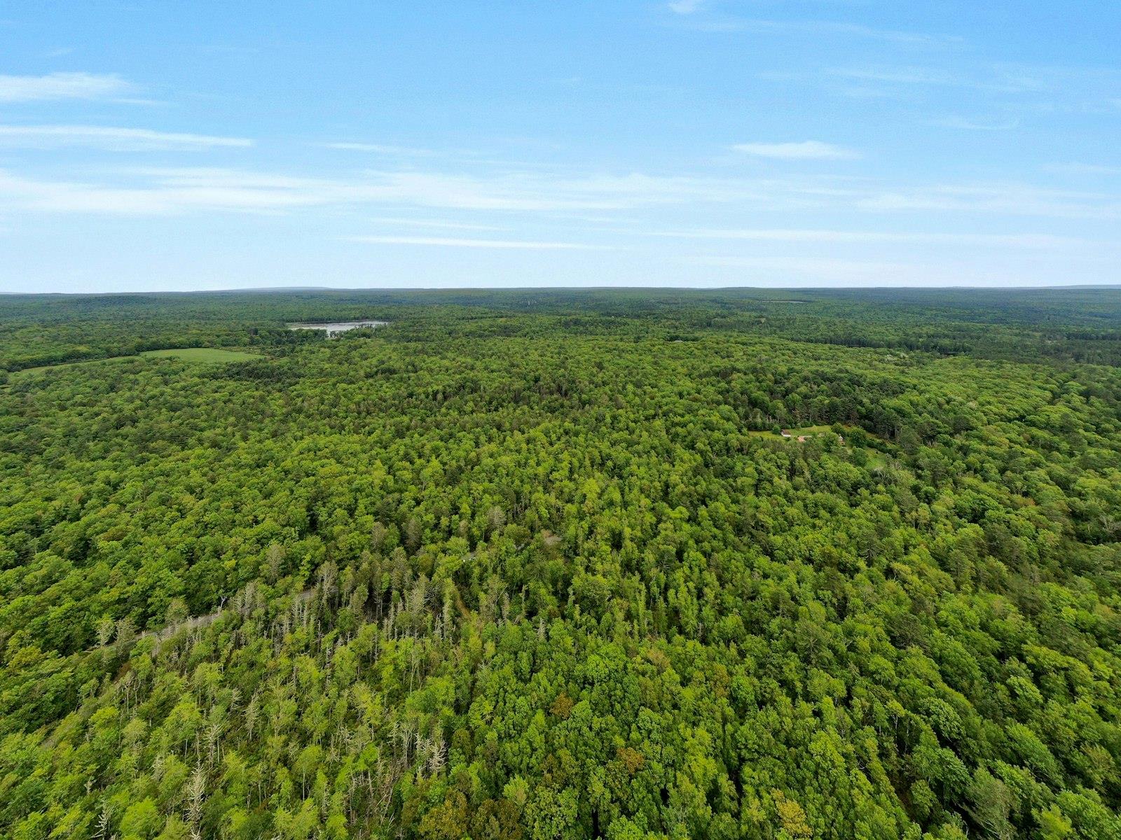 TBD Plank Rd, Forestburgh, NY