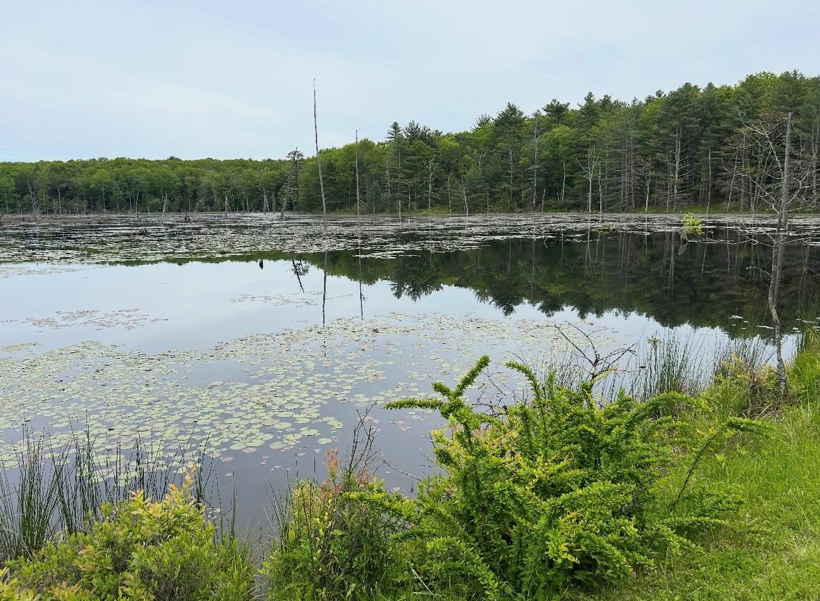 Lot 45 Split Rock Drive, Barryville, NY 12719