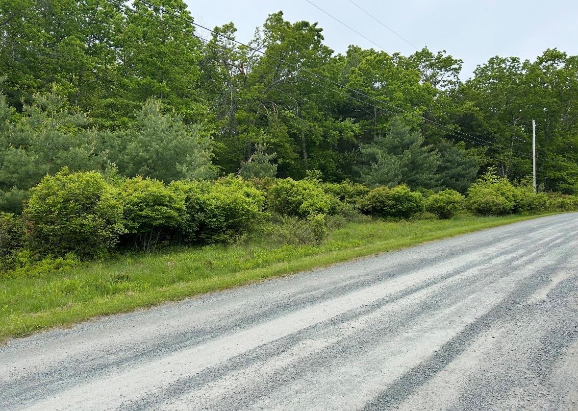 Lot 45 Split Rock Drive, Barryville, NY 12719