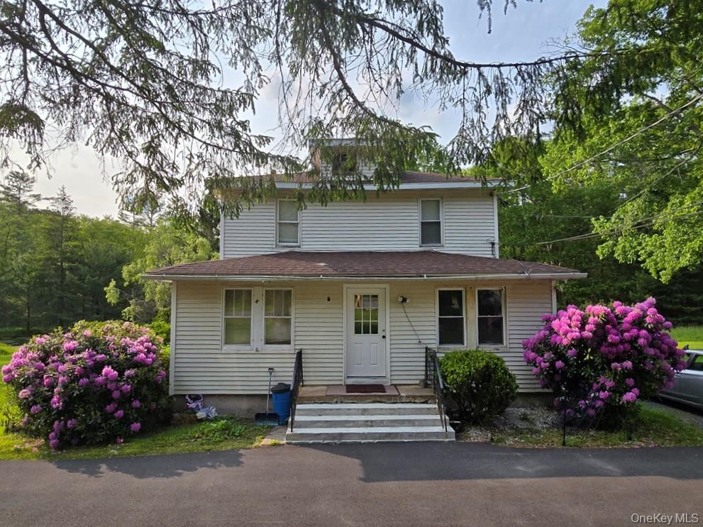 54 Eldred Yulan Road, Eldred, NY 12732