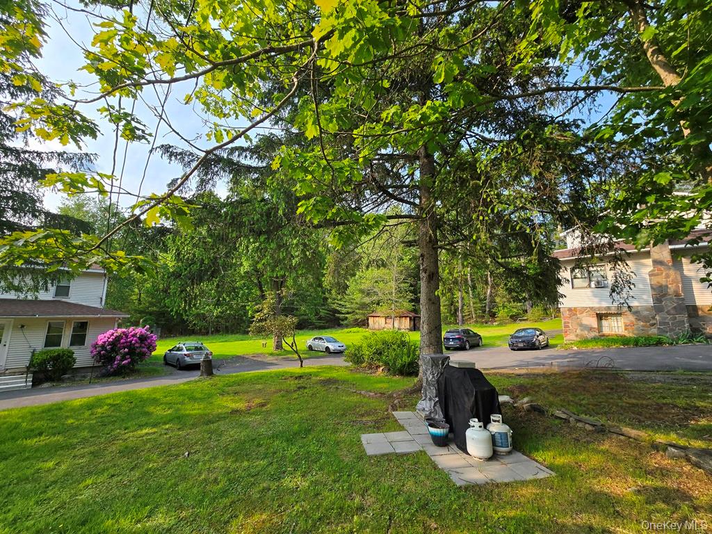 54 Eldred Yulan Road, Eldred, NY 12732