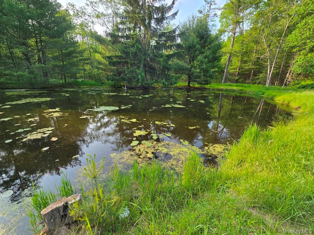 54 Eldred Yulan Road, Eldred, NY 12732