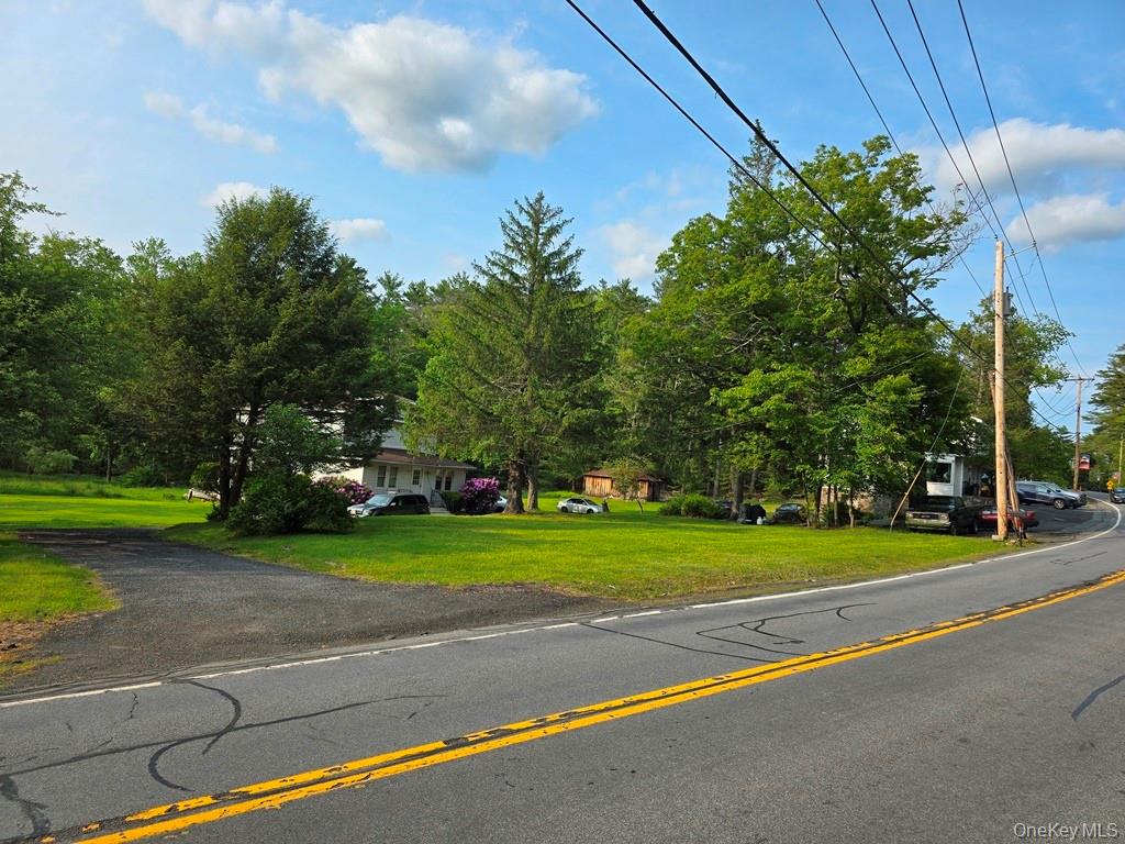 54 Eldred Yulan Road, Eldred, NY 12732