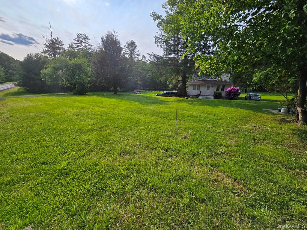 54 Eldred Yulan Road, Eldred, NY 12732