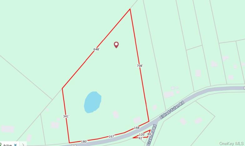 54 Eldred Yulan Road, Eldred, NY 12732