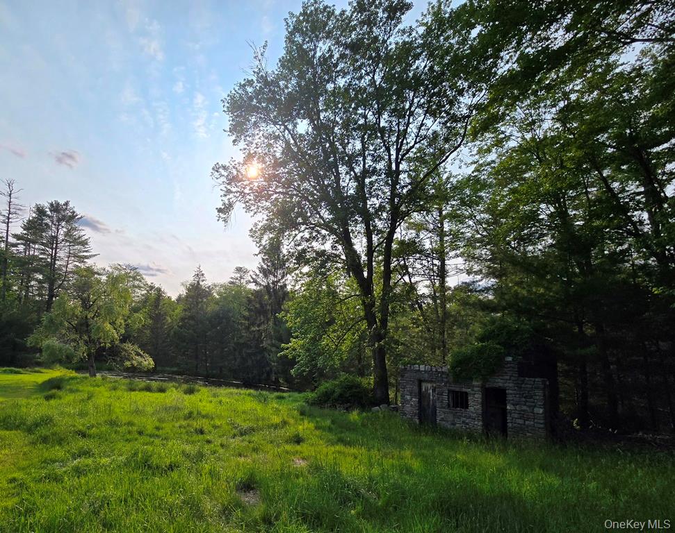 54 Eldred Yulan Road, Eldred, NY 12732