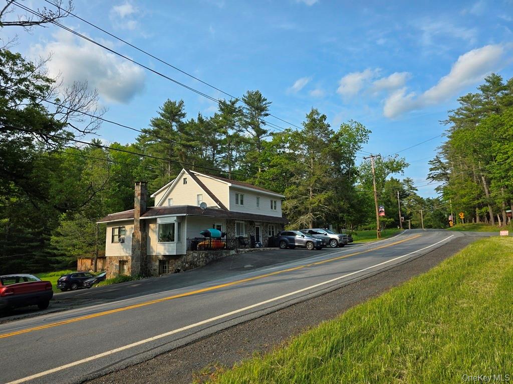 54 Eldred Yulan Road, Eldred, NY 12732