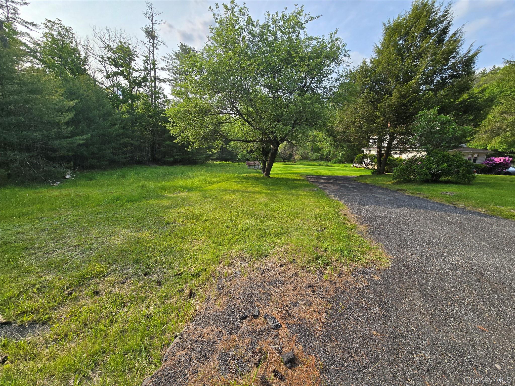 54 Eldred Yulan Road, Eldred, NY 12732