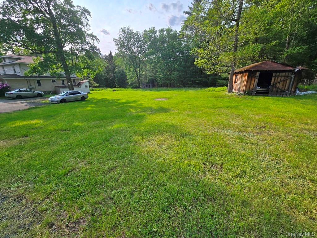 54 Eldred Yulan Road, Eldred, NY 12732