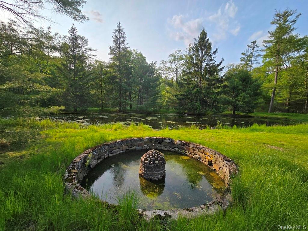 54 Eldred Yulan Road, Eldred, NY 12732