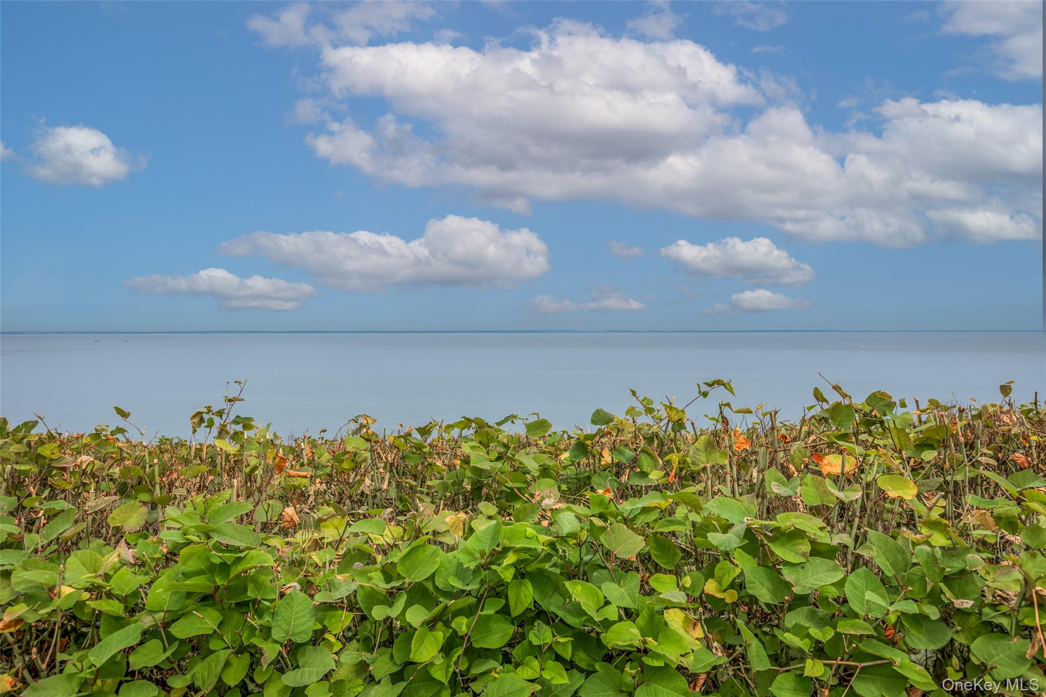 26 Point Breeze Drive, Rocky Point, NY 11778