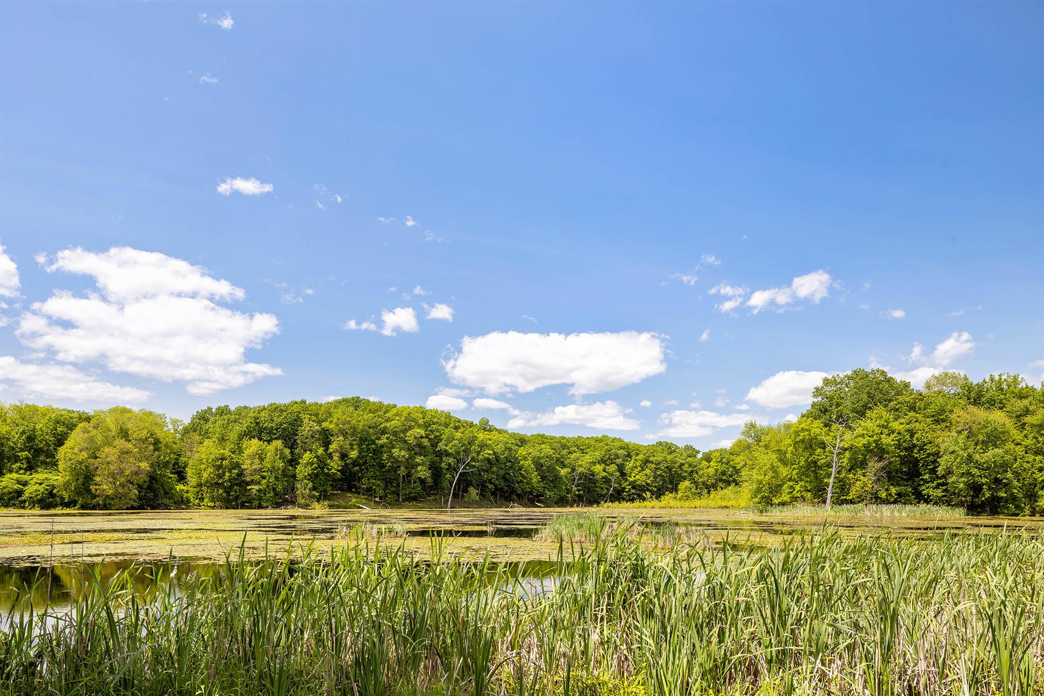 1049 County Route 19, Elizaville, NY 12523