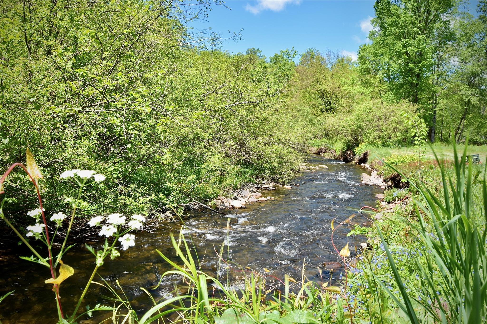 7 Bonnie Brook Road, Roscoe, NY 12776