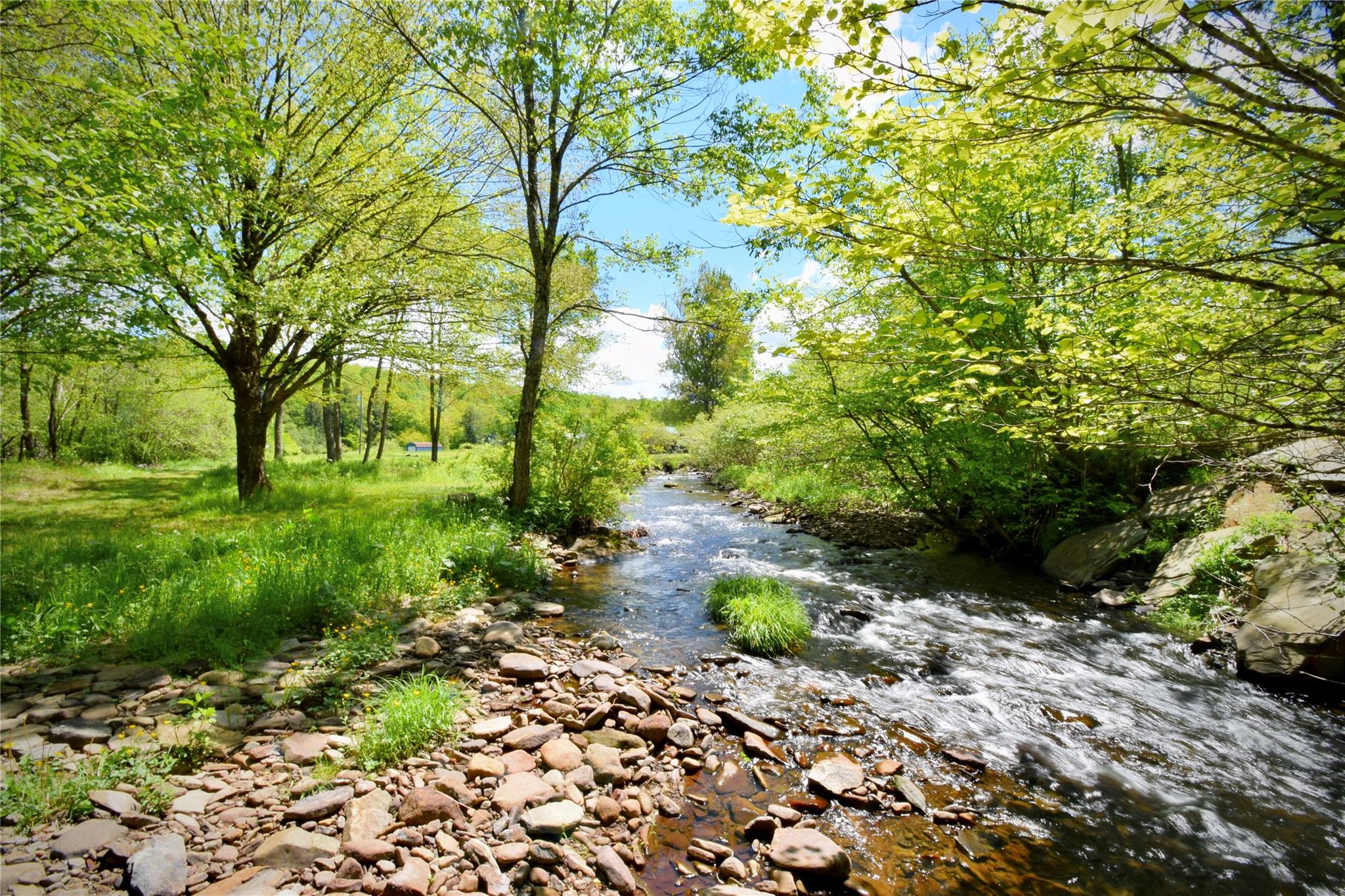 7 Bonnie Brook Road, Roscoe, NY 12776