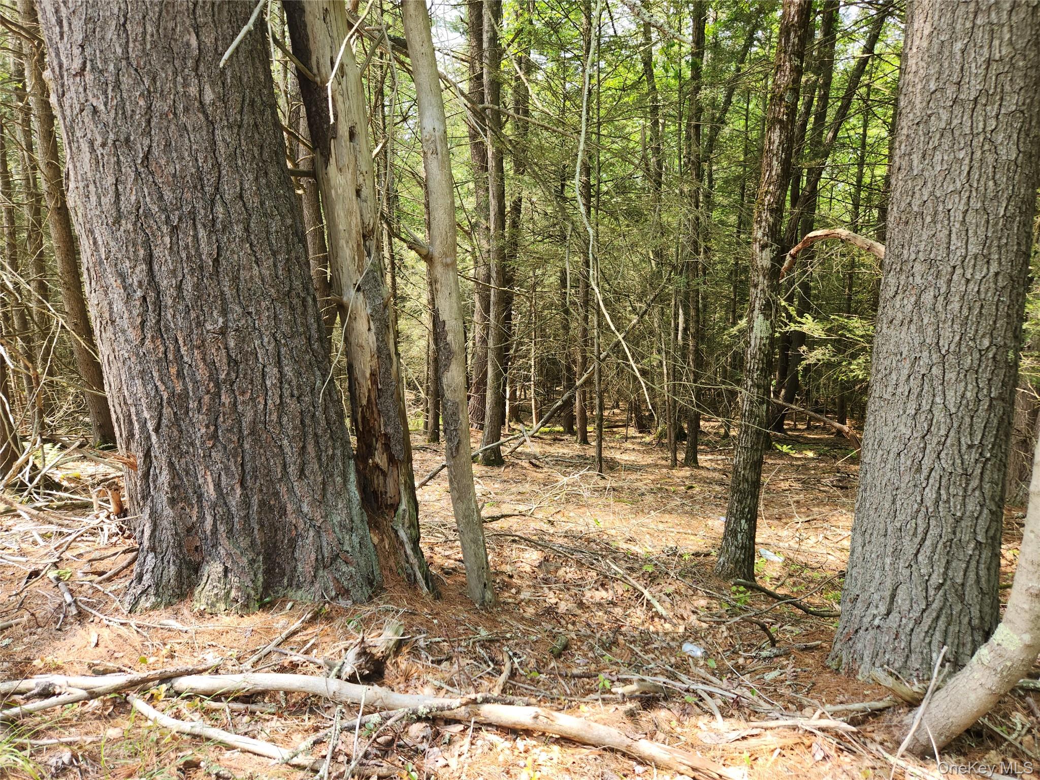 Highland Lake, Eldred, NY 12732