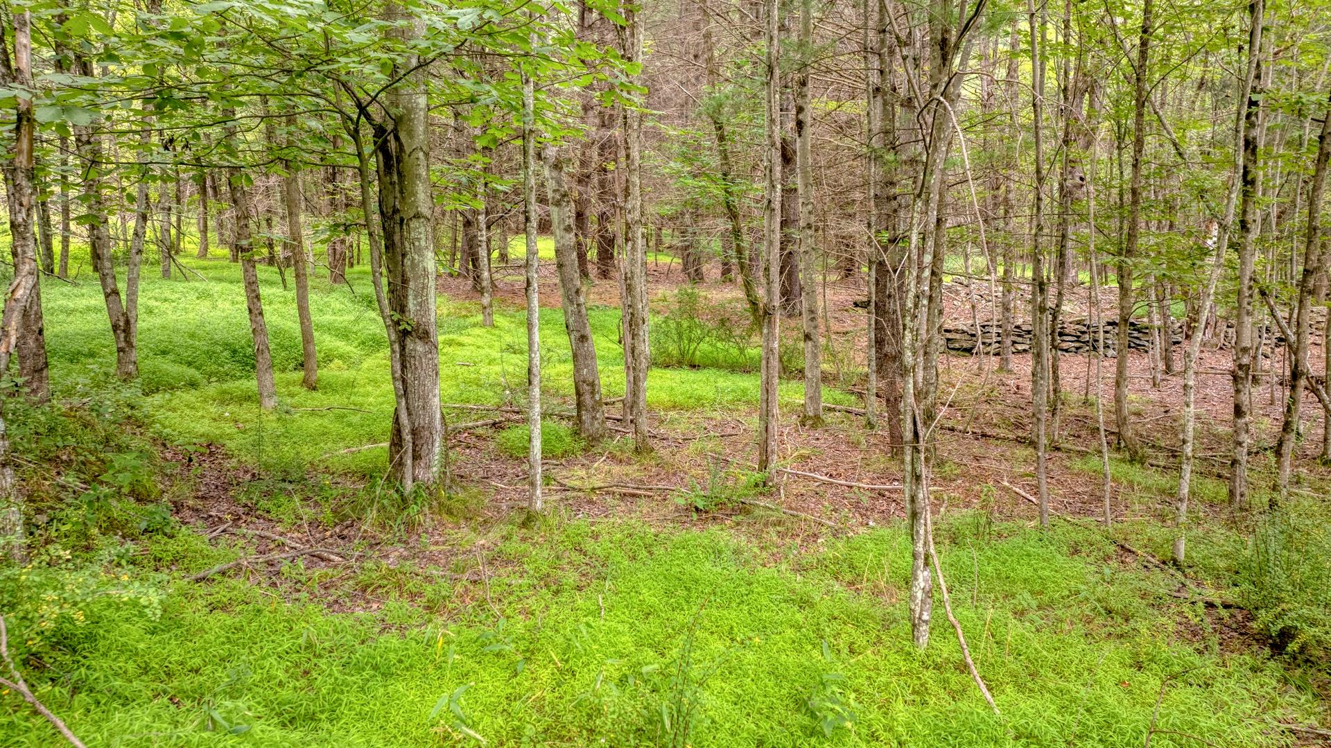 18 Jomar Lane, Olivebridge, NY 12461