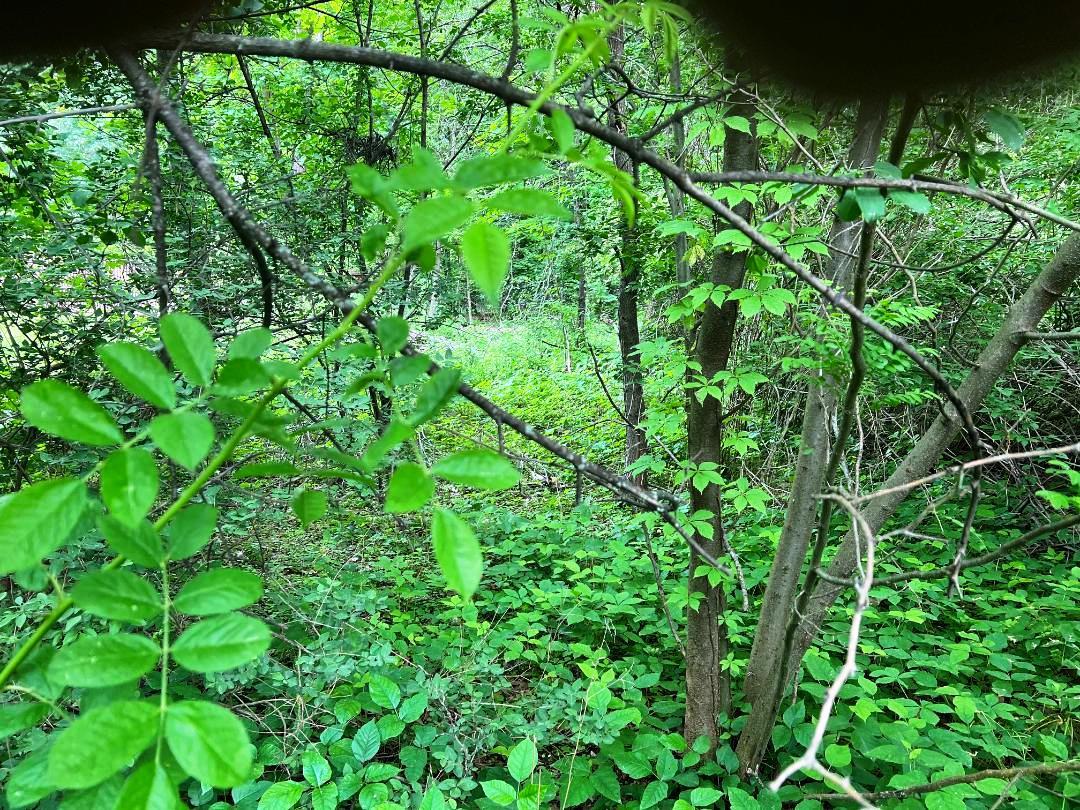 12 Hinchcliffe Drive, Newburgh, NY 12550