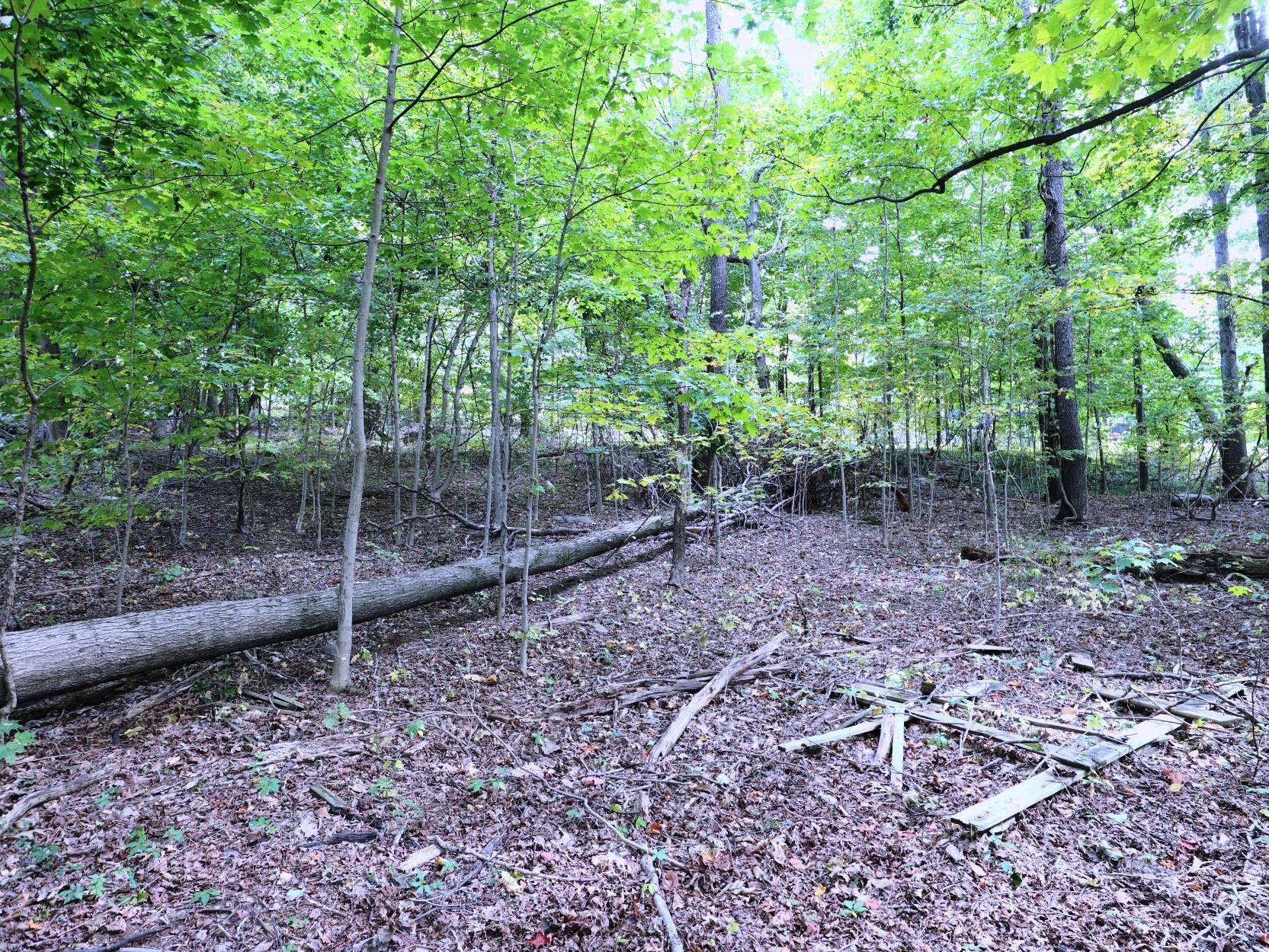 12 Hinchcliffe Drive, Newburgh, NY 12550