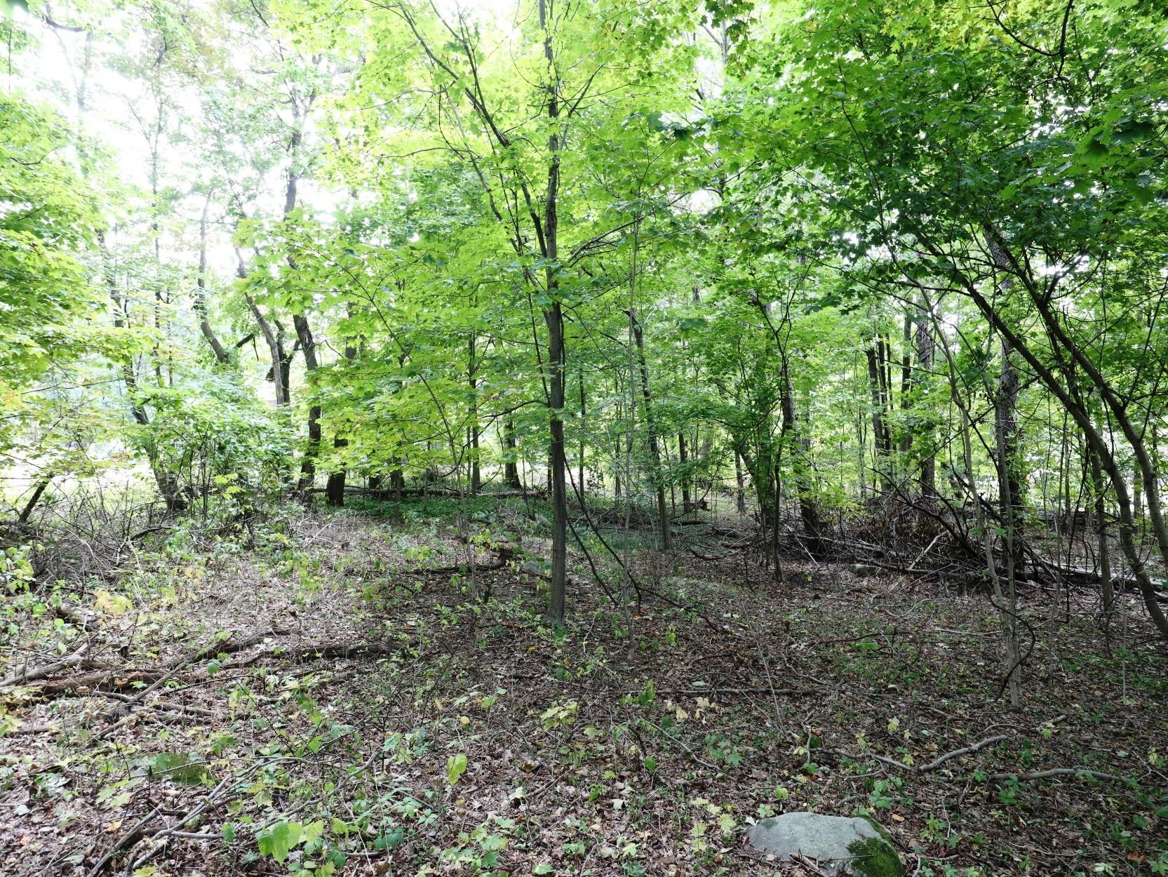 12 Hinchcliffe Drive, Newburgh, NY 12550