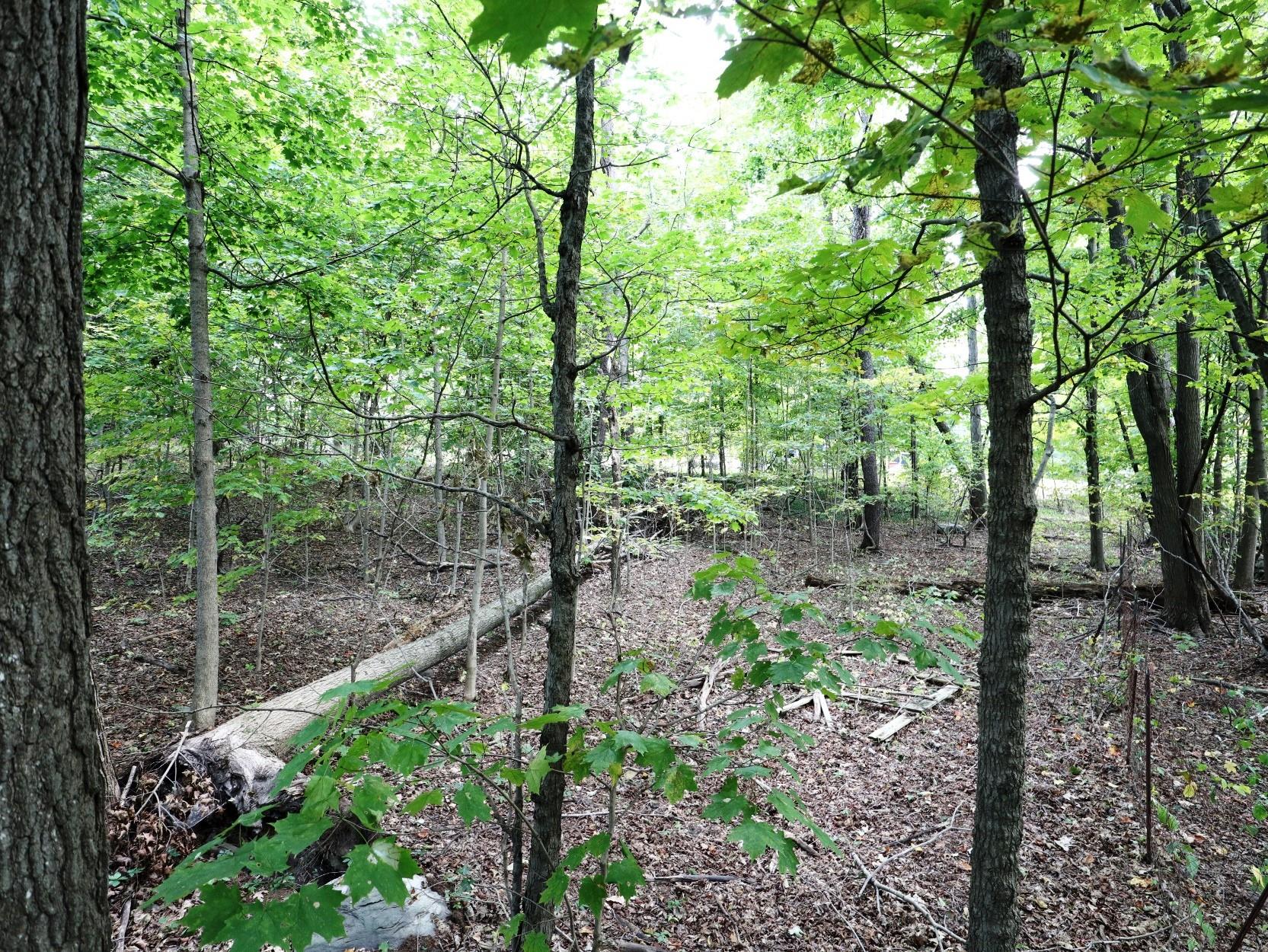 12 Hinchcliffe Drive, Newburgh, NY 12550