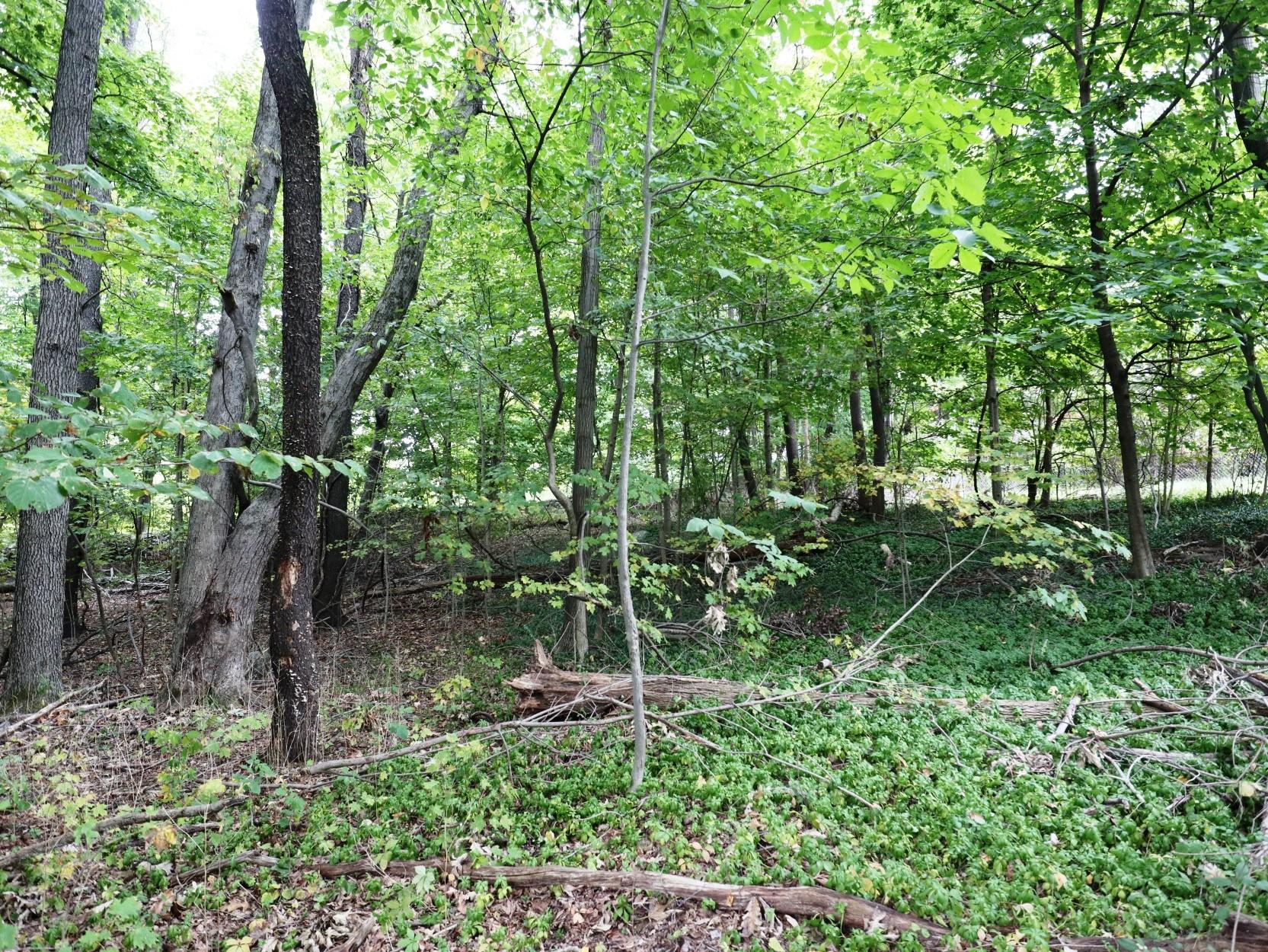 12 Hinchcliffe Drive, Newburgh, NY 12550