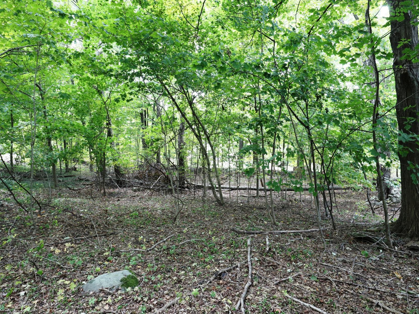 12 Hinchcliffe Drive, Newburgh, NY 12550