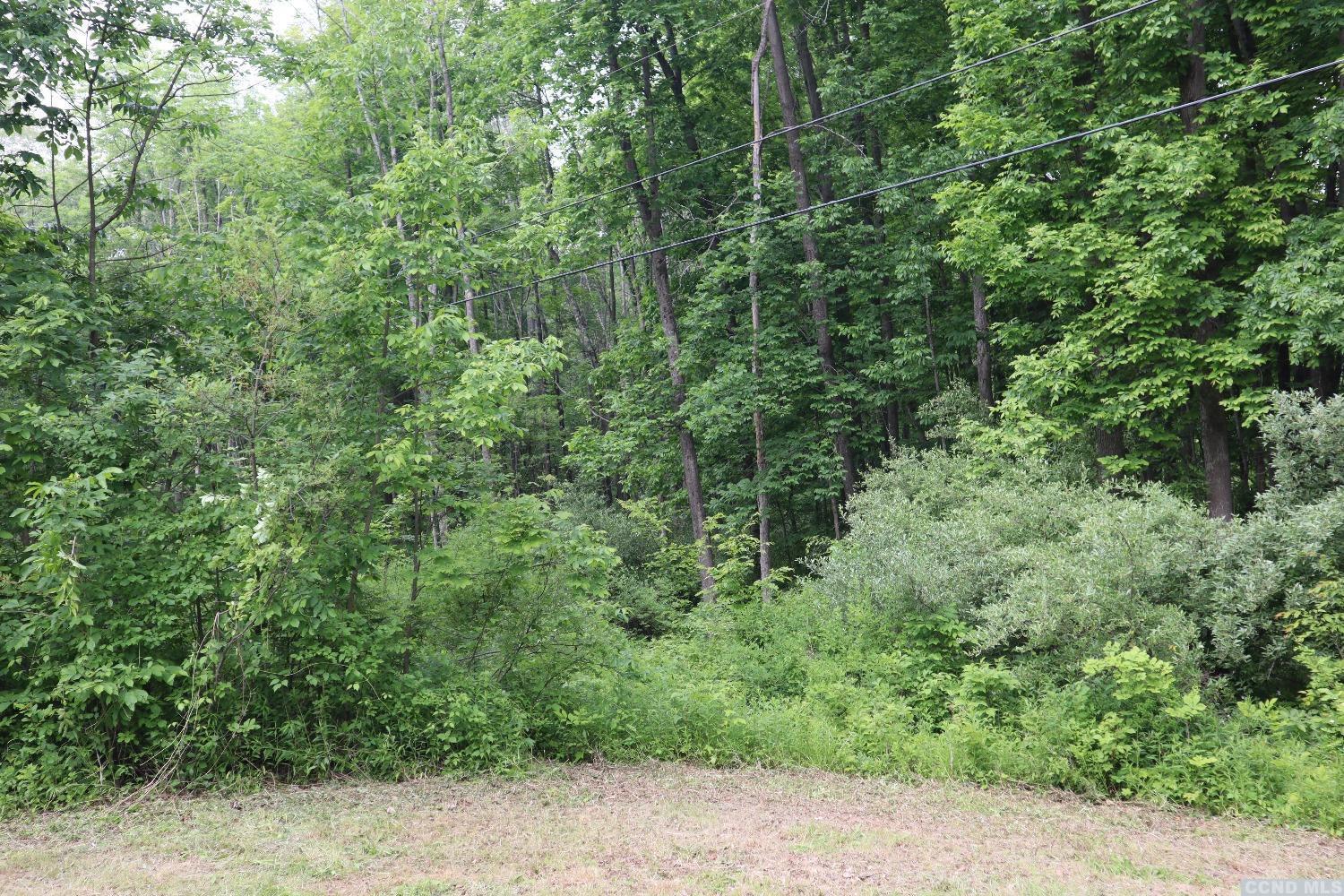 Route 82, Germantown, NY