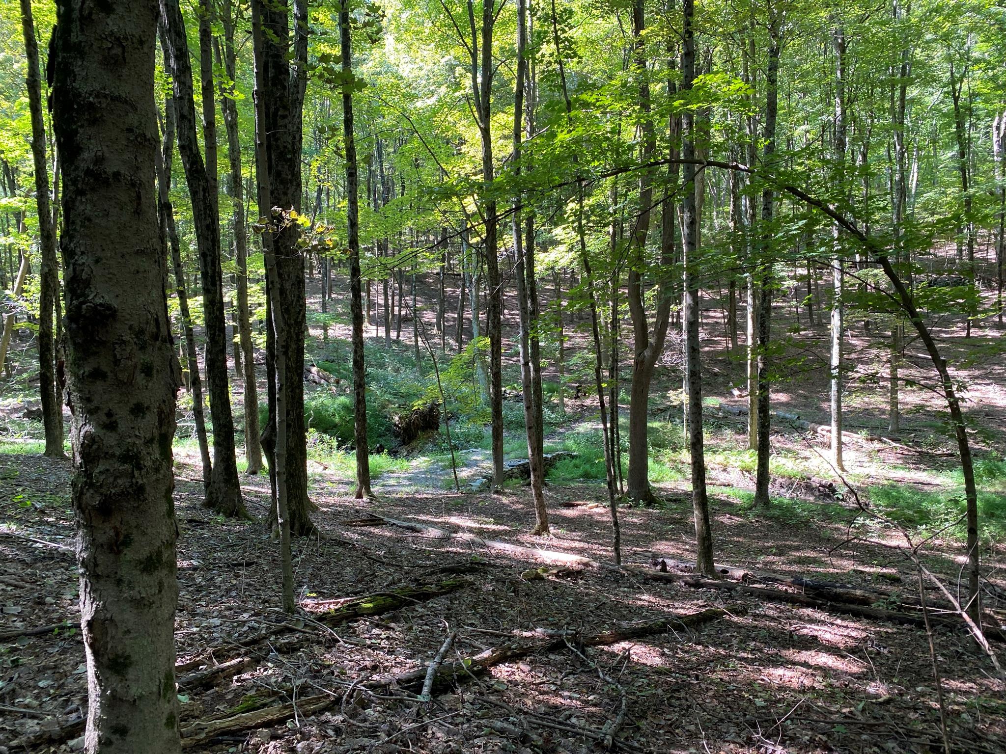 505-1 Pumpkin Lane, Clinton Corners, NY 12514