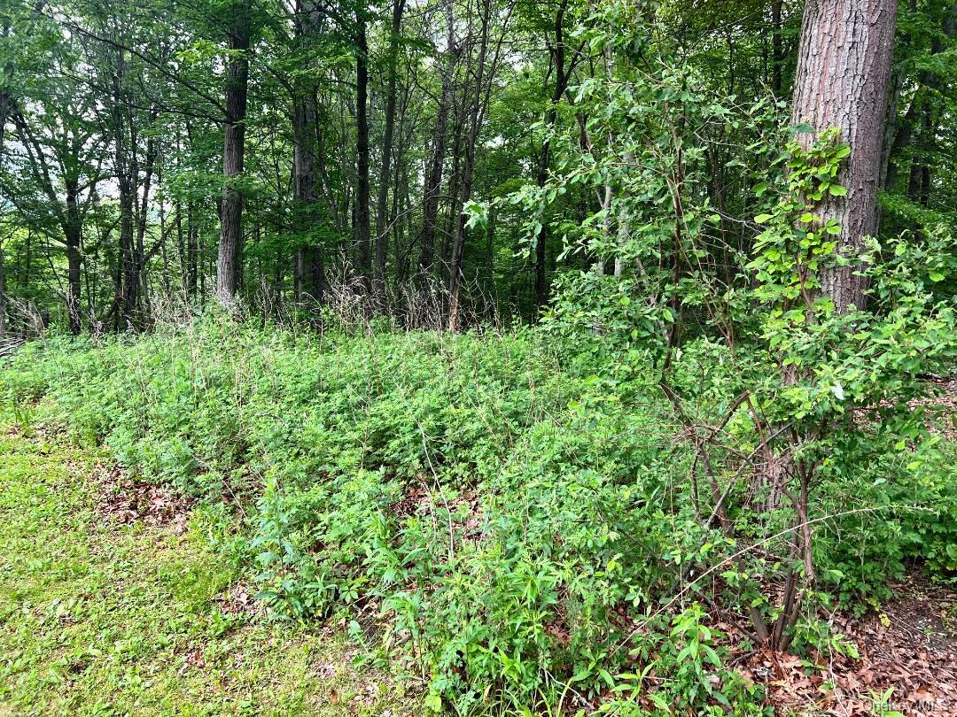 36 Sylvia Barlow Way, Brewster, NY 10509