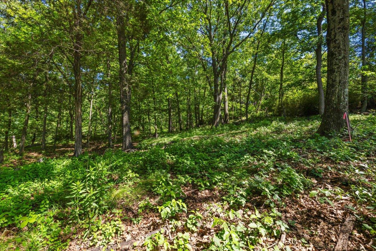 8 Prickly Pear Hill Road, Croton-on-Hudson, NY 10520