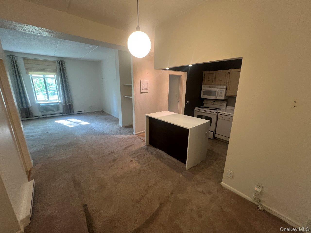 160 Academy Street # 1F aka LF, Poughkeepsie, NY 12601