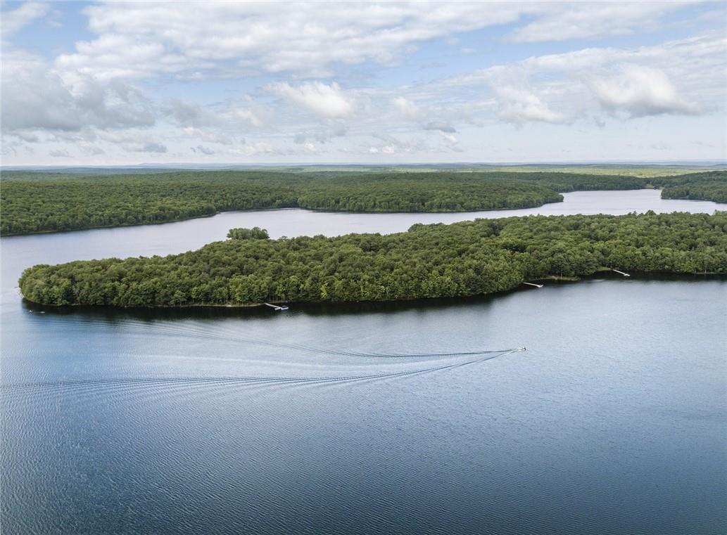 Lot 1 Chapin Trail, White Lake, NY 12786