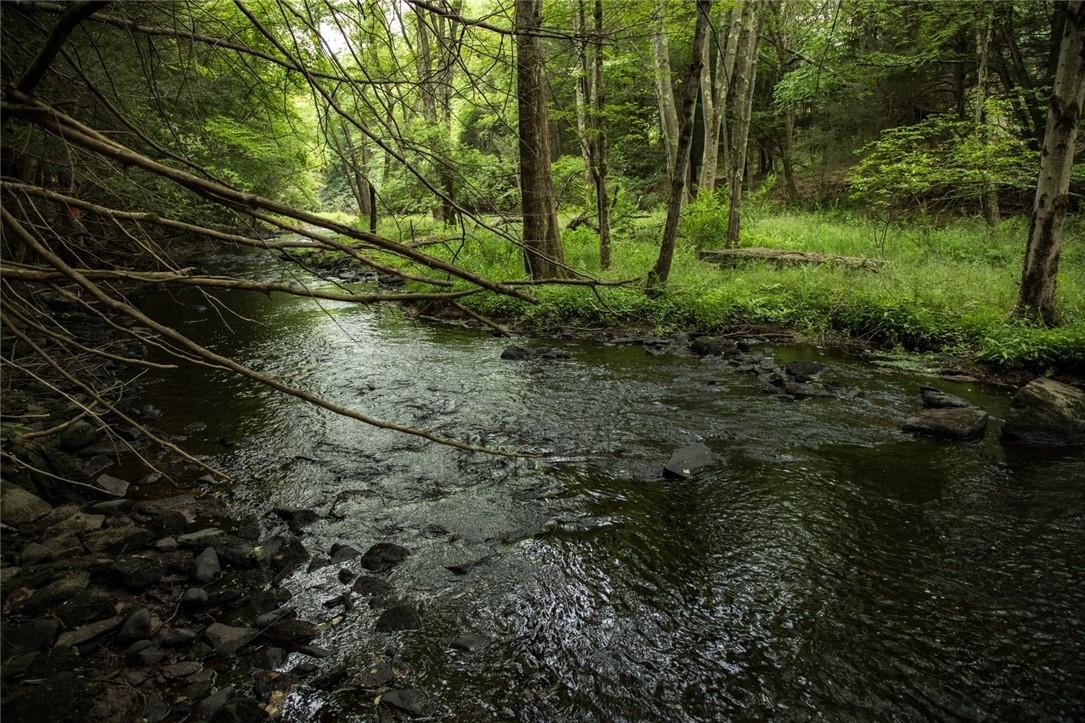 Lot 1 Chapin Trail, White Lake, NY 12786