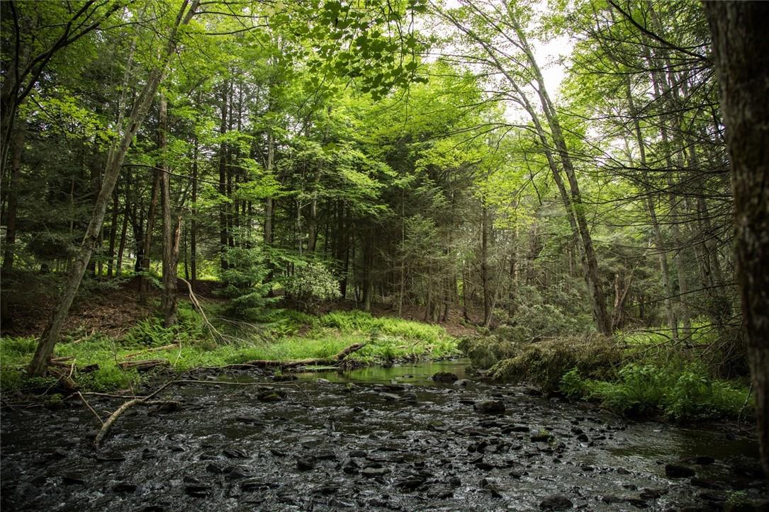 Lot 1 Chapin Trail, White Lake, NY 12786