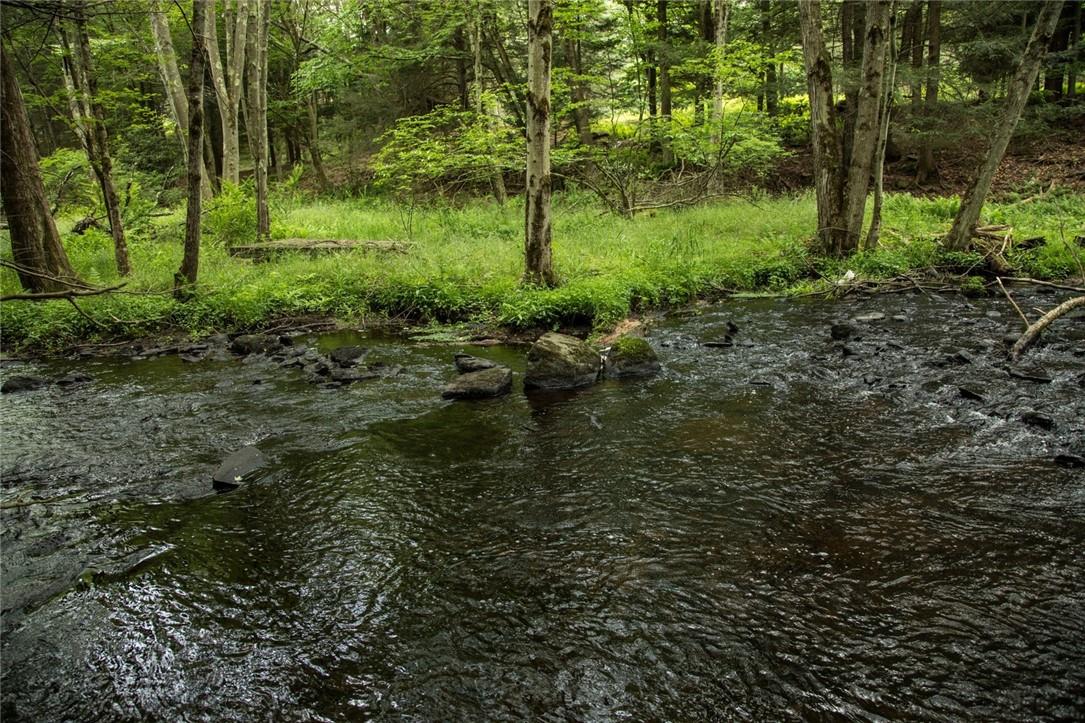 Lot 1 Chapin Trail, White Lake, NY 12786