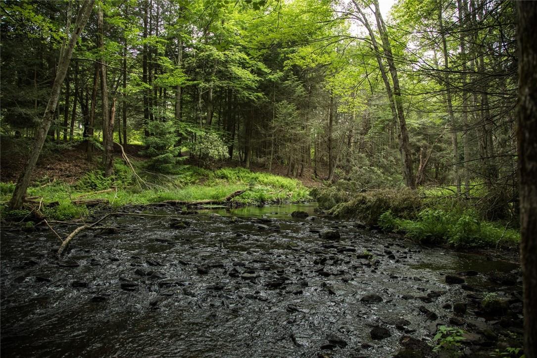 Lot 1 Chapin Trail, White Lake, NY 12786