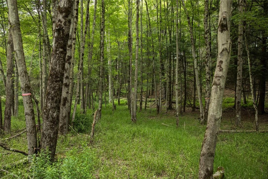Lot 1 Chapin Trail, White Lake, NY 12786