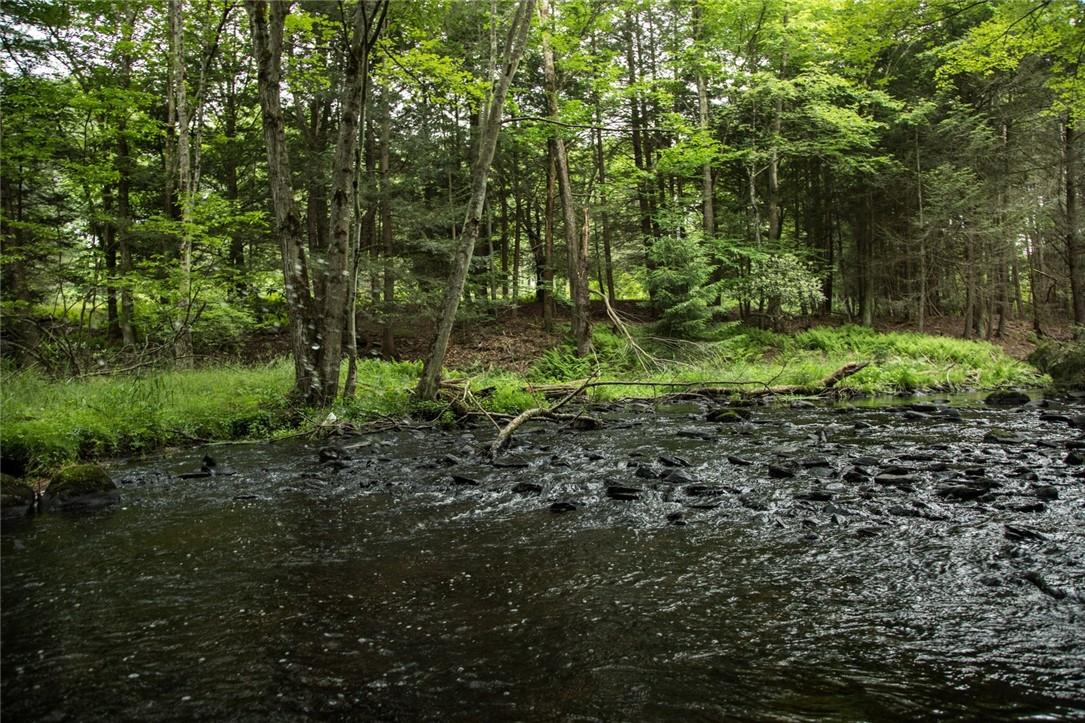 Lot 1 Chapin Trail, White Lake, NY 12786