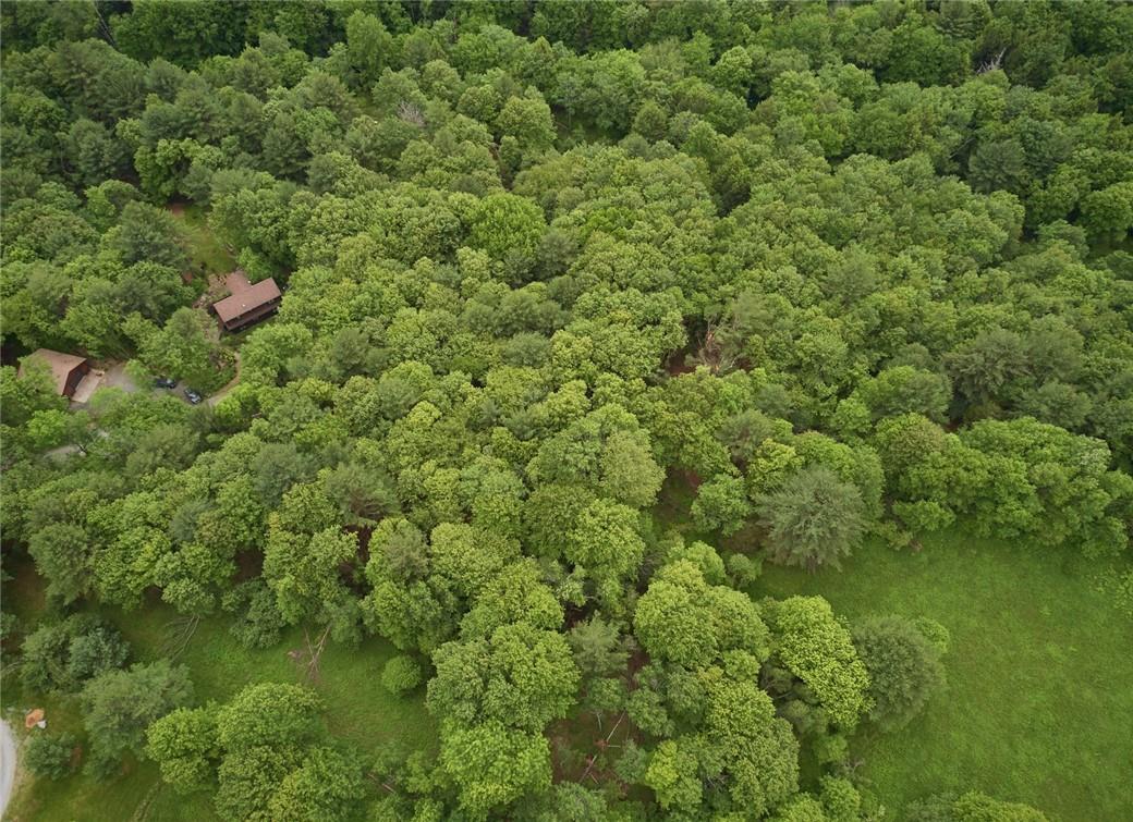 Lot 1 Chapin Trail, White Lake, NY 12786