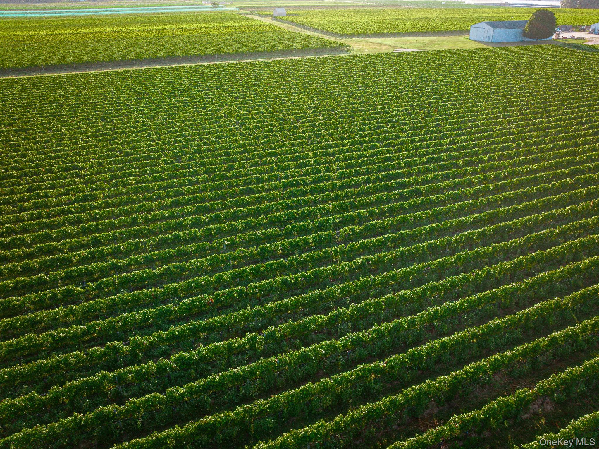 6133 Sound Avenue, Riverhead, NY 11901