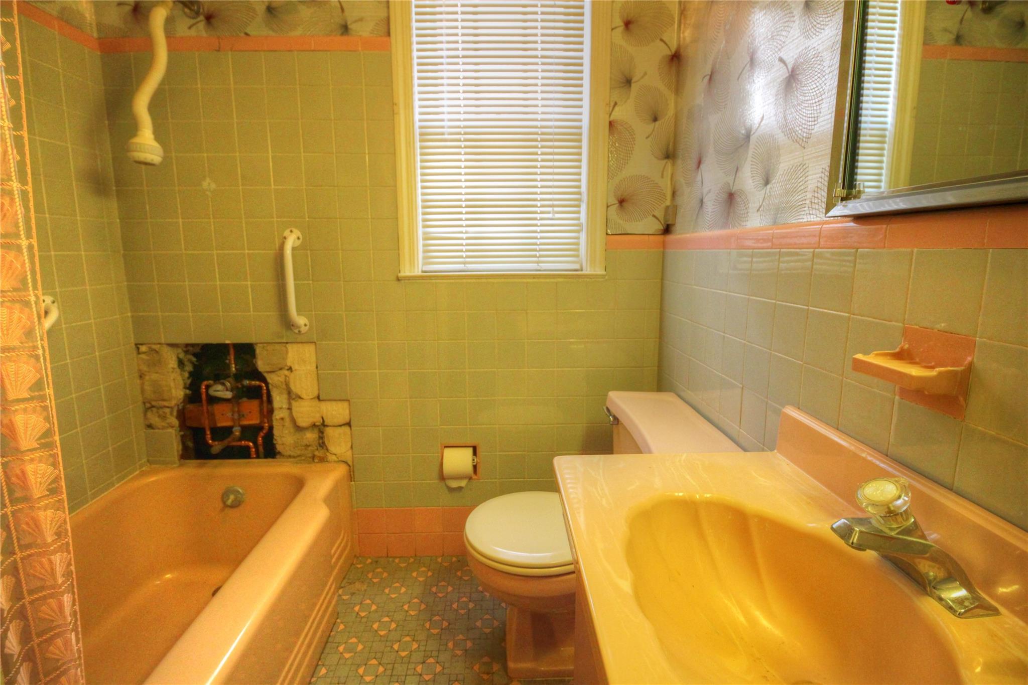 115-31 237th Street, Elmont, NY 11003